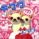 �V���O��V�u�`�E���E���`����POWER�`�v