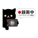 Biijo ドライブレコーダー 防水・耐熱 ステッカー シール ひょっこり覗く動物シリーズ くま パンダ ねこ いぬ ドライブレコーダーシール あおり運転対策 (小サイズ, ねこ（ドラレコ）)