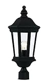 Trans Globe Lighting 40403 BK Chateau Villa Post Lantern, 22", Black [並行輸入品]