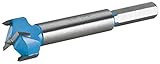 Roman Carbide DC1851 Carbide Forstner Bit, 15/16-Inch [並行輸入品]