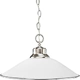 Progress Lighting P5013-09 1-Light Chain-Hung Pendant with Satin Opal Glass and Accent Ring, Brushed