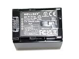 WELLSKY BN-VG121 BN-VG129 互換バッテリー [ 純正充電器で充電可能 残量表示可能 純正品と同じよう使用可能 ] [ ビクター Everio エブリオ ]