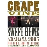 ミュージック GRAPEVINE/Almost there Tour Blu-ray Amazon.co.jp: Almost There Tour extra show at Zepp DiverCity