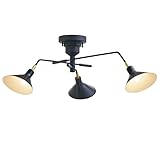 インターフォルム シーリングライト LT-9521BK ロネ ブラック LED電球付 リモコン 真鍮 インダストリアル