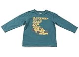 OSHKOSH(オシュコシュ) Tシャツ・カットソー 100サイズ 男の子