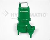 Hydromatic SKHS200M2 2 HP Cast Iron High Head Sewage Ejector [並行輸入品]