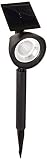 JIAWEI TECHNOLOGY SS15PC-P3-BK-1 FS 30-Lumen Solar Spot Light [並行輸入品]