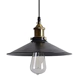 Lightess Black Industrial Edison Metal Ceiling Hanging Pendant Lighting with 1 Light [並行輸入品]
