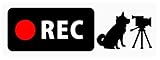 ドライブレコーダー搭載ステッカー 「柴わんことビデオカメラ」 Banner Type (背面の狭いSUV・スポーツワゴン向け) (再剥離シール) (5.2cm×14.8cm) b16r