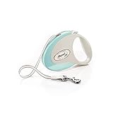 フレキシリード (flexi) 伸縮リード スタイル テープ M(25kg未満) 5m ミント [犬用リード] 日本正規品