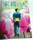 家裁の人 2 (My First Big SPECIAL)