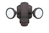 Vaxcel T0098 Lambda Smart Lighting Outdoor Security Wall Light, Bronze Finish [並行輸入品]