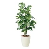東北花材 人工樹木 モンステラR 90221 生活用品 インテリア 雑貨 インテリア 家具 観葉植物 top1-ds-1825314-ah [簡素パッケージ品]