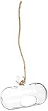 IMAX 85843 Selena Hanging Glass Vase [並行輸入品]