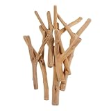 SEWACC 1 流木 ログスティック クラフト小枝 手芸用の木の棒 木製クラフトスティック 木の棒の飾り 花束用フラワースティック 天然木のスティック 木の枝の装飾 Beige 松の木