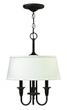 Hinkley 3734OZ Foyer Webster Light [並行輸入品]