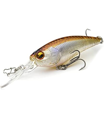 Amazon.co.jp: レイドジャパン(Raid Japan) LEVEL SHAD (レベル
