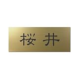 丸三タカギ 彫り込み済表札 アクリル APY2-G-1-1-桜井 【完成品】