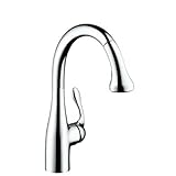 Hansgrohe 04066000 Allegro E Gourmet Kitchen Faucet, Chrome [並行輸入品]