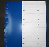 貼りラベル　10シート（100枚）青色　20ｘ180ｍｍ