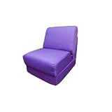 Fun Furnishings Teen Chair with Pillow, Purple Canvas [並行輸入品]