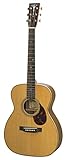 ASTURIAS（アストリアス） アコースティックギター E.C.PRE-WAR