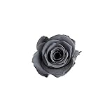 florever　フロールエバー　フレッシュルックメディアナローズ　アッシュグレー　8輪　Φ4～5cm　 プリザーブドフラワー　Mediana Rose　Ash Gray