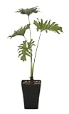 造花アート・観葉植物　スプリット90＜ 移転祝い 落成祝い 竣工祝いに ＞