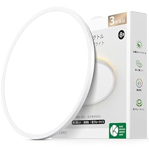 None -2026-02-26 11:18:19