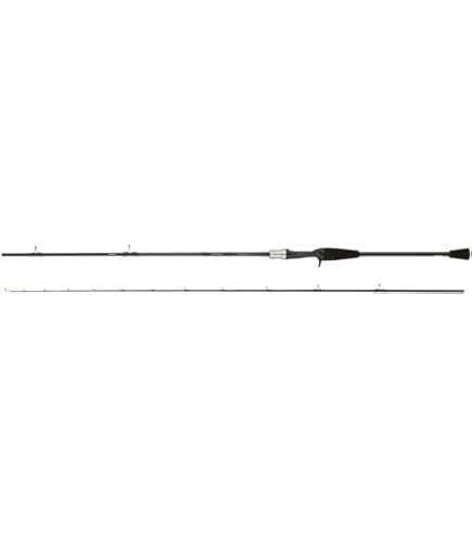 Amazon | ダイワ(DAIWA) 20 ライトヒラメX M-240・R | DAIWA | 船竿