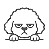 ForzaGroup ふて顔トイプードル カッティングステッカー 犬 dog 車 バイク ヘルメット 屋外耐候 (8cm×6.6cm ダークグレー)