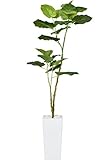 DORIS 観葉植物 光触媒 本物に近い質感 水やり不要 フェイクグリーン 陶器鉢 ウンベラータ