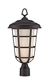 Designers Fountain 33246-ABP Triton 10" Post Lantern [並行輸入品]