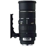 シグマ 50-500mm F4-6.3APO EX DG HSM ニコン用