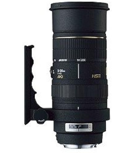 超望遠 Nikon 用 Sigma APO 170-500mm D #8643 超望遠 Nikon 用 Sigma APO 170-500mm D #8643 Amazon | SIGMA