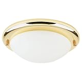 Sea Gull Lighting 16148BL, 1-Light Ceiling Fan Kit, Polished Brass [並行輸入品]