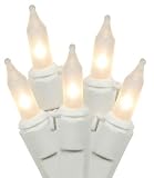Vickerman 100 Count Light Set with White Wire, Mini, Frosted White [並行輸入品]