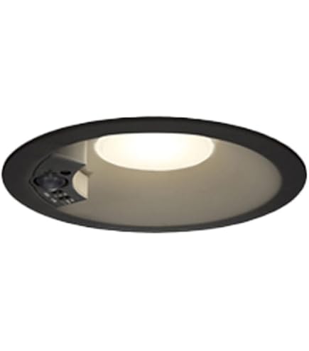 Amazon.co.jp: パナソニック(Panasonic) 天井埋込型 LED(電球色) 軒下
