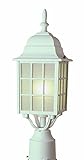 Trans Globe Lighting 4421 VG 18-1/2-Inch 1-Light Outdoor Post Top Lantern, Verde Green [並行輸入品]
