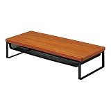 リヒトラブ パソコン台 モニター台 木目調 MDF 机上台 スリム 棚付 ブラウン 幅50×奥行20×高さ10cm 耐荷重15kg A8012-9