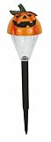 Lightahead Solar Powered LED Stake Lights - Halloween Stake Light Outdoor Garden Path Light (Pumpkin