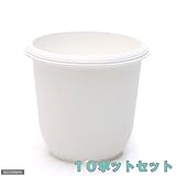 KUポット 3.5号(外径10.6×高さ9.5cm) 白 10鉢セット