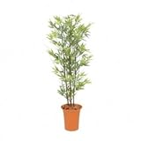 【人工植栽】　タカショー グリーンデコ鉢付 黒竹　1.2m　GD-169