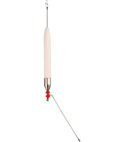 Amazon | ダイワ(DAIWA) 純正パーツ 22 イグジスト LT2000S-P スプール