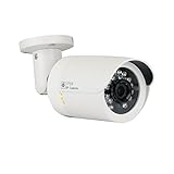 GW Security Inc VD1337IP HD-IP Camera 1/3-Inch Aptina 1.3 MP CMOS Sensor 3.6mm Lens with IR-CUT [並行輸