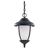 Sea Gull Lighting 60048-185 Outdoor Pendant with Swirled MarbleizeGlass Shades, Forged Iron Finish b