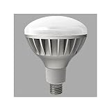 東芝(TOSHIBA)  LED電球反射形19W LDR100/200V19N-H