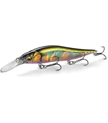 Amazon.co.jp: メガバス(Megabass) VISION ONETEN Jr. FA OIKAWA