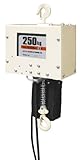 スリーエッチ 電気チェーンブロック JC 250kg 揚程6m 単相100V仕様