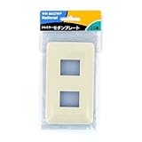 パナソニック(Panasonic) フルカラーモダンプレート2コ用･W/P WN6002WP 【純正パッケージ品】